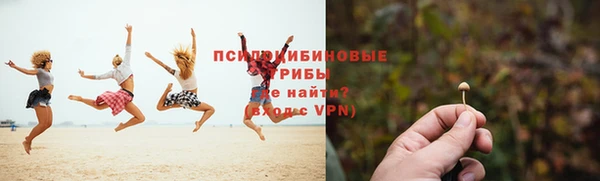 ALPHA PVP Касимов