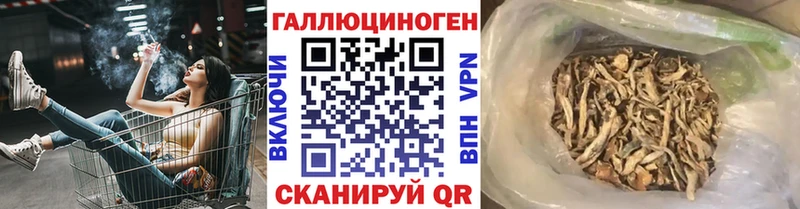 Купить закладки  Жигулёвск  Псилоцибиновые грибы Psilocybine cubensis 